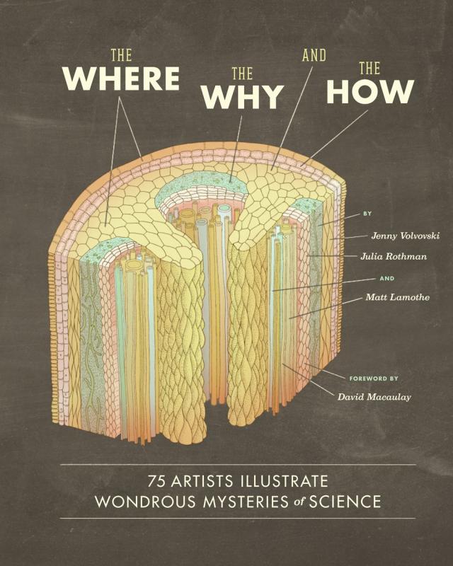 Retro-style book cover featuring vintage textbook looking diagram.