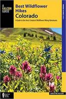 Best Wildflower Hikes Colorado: A Guide to the Area's Greatest Wildflower Hiking Adventures