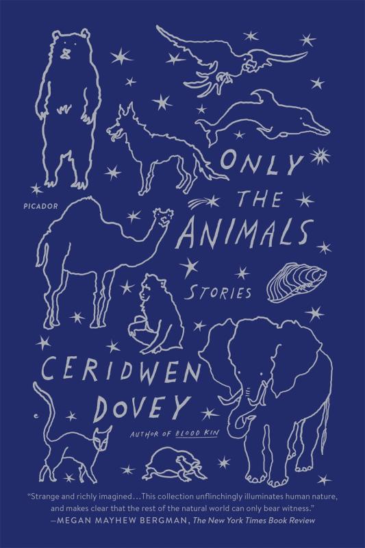 line drawings of animals in white and stars over dark blue