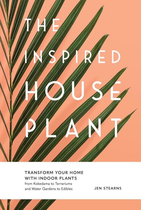 iamge of a houseplant leaf over beige background with a banner holding some info text, the rest superposed on the plant