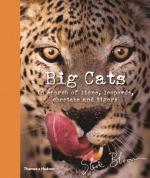 Big Cats: In Search of Lions, Leopards, Cheetahs, and Tigers