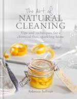 ART OF NATURE CLEANING: TIPS AND TECHNIQUES