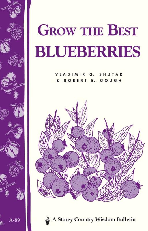 Grow the Best Blueberries (Storey Country Wisdom Bulletin)