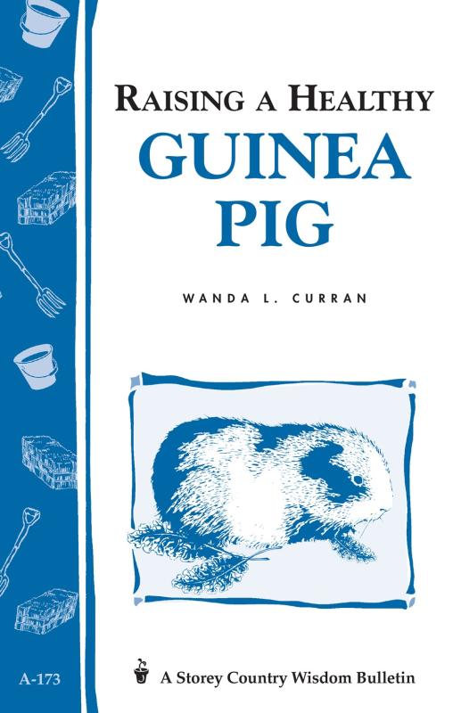 Raising a Healthy Guinea Pig (Storey Country Wisdom Bulletin)