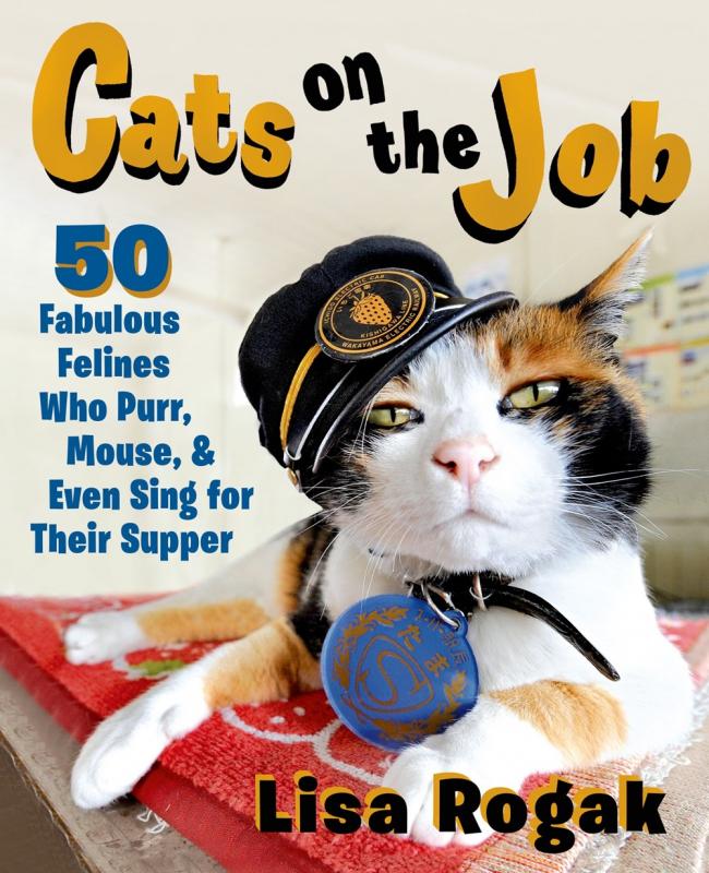 Cover with a photo of a cat wearing a cap.