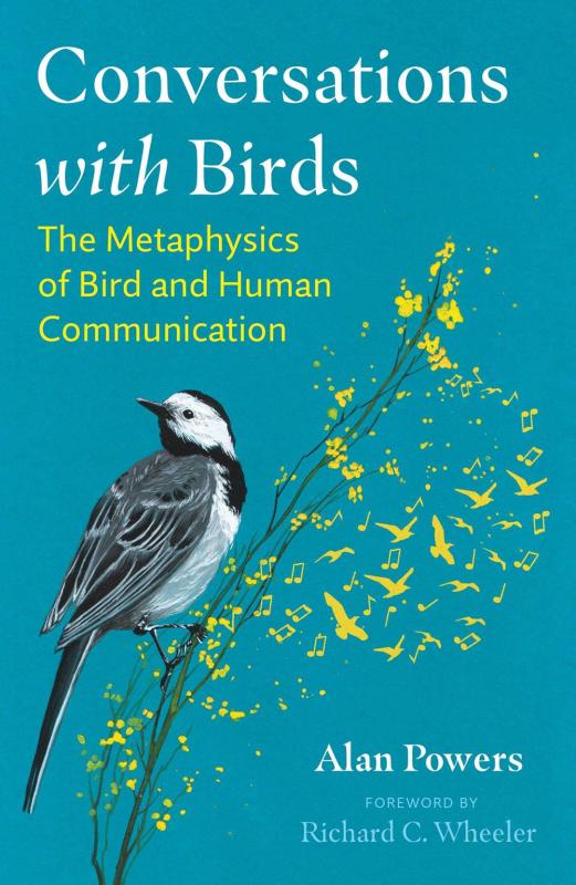 blue cover with bird on branch with yellow song notes with white and yellow text