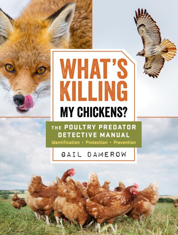 What's Killing My Chickens?: The Poultry Predator Detective Manual