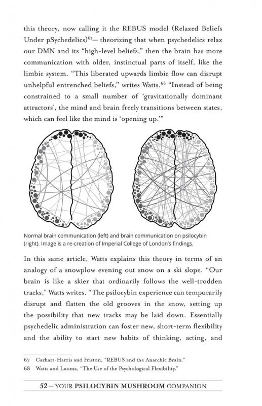 Your Psilocybin Mushroom Companion: An Informative, Easy-to-Use Guide to Understanding Magic Mushrooms―From Tips and Trips to Microdosing and Psychedelic Therapy image #2