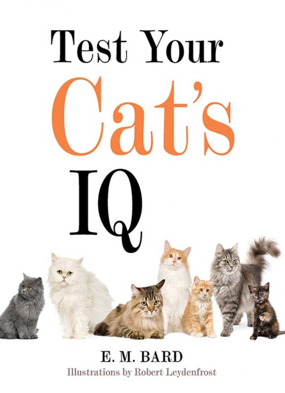 cover with photo of cats