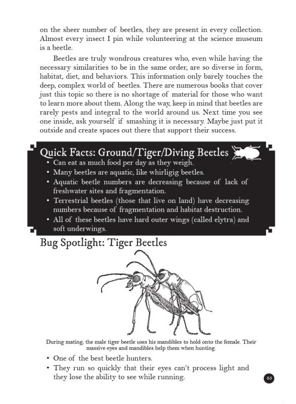 Bug Life: How Bees, Butterflies, and Other Insects Rule the World image #5