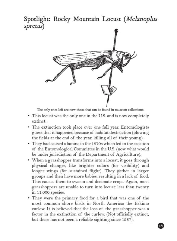 Bug Life: How Bees, Butterflies, and Other Insects Rule the World image #7