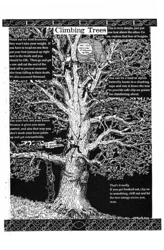 Copse: A Beginners' Guide to Tree Protesting image #3