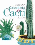 A Splendour of Succulents & Cacti