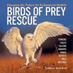 Birds of Prey Rescue: Changing the Future for Endangered Wildlife (Animal Rescue Series)