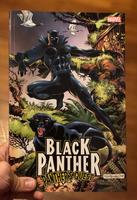 Black Panther: Panther's Quest