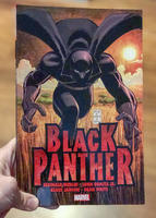 Black Panther: Who is the Black Panther