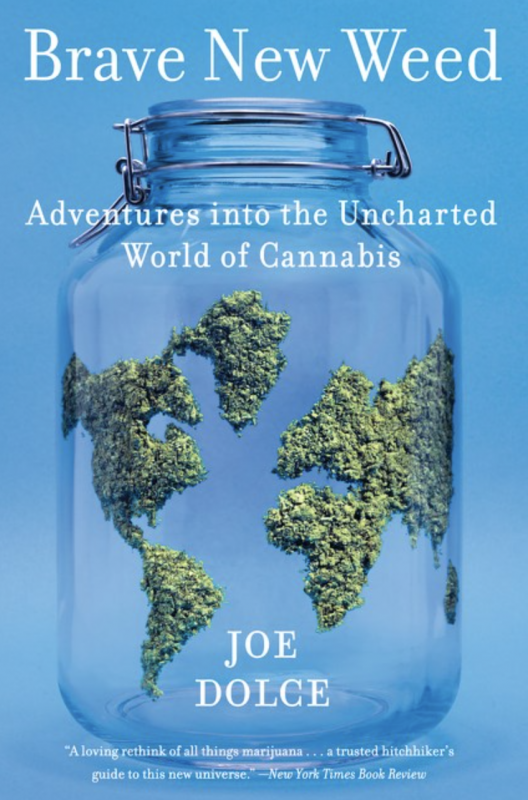 glass jar with cannabis in the shape of continents as on a globe