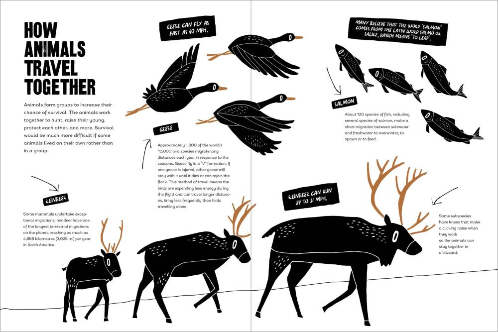 When Animals Get Together: Collective Nouns from the Animal Kingdom image #2