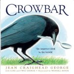 Crowbar: The Smartest Bird in the World