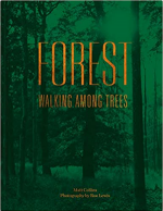 Forest: Walking Among Trees