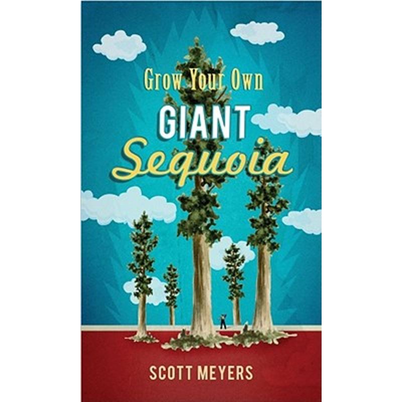 Grow Your Own Giant Sequoia