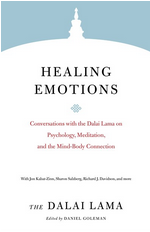 Healing Emotions: Conversations with the Dalai Lama on Psychology, Meditation, and the Mind-Body Connection