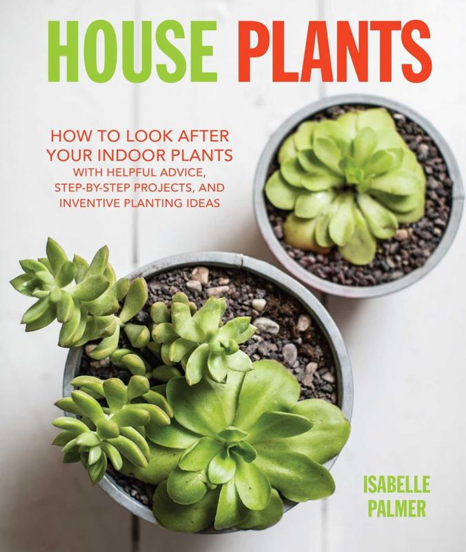 Cover with an overhead view of two house plants