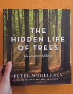 Hidden Life of Trees: The Illustrated Edition