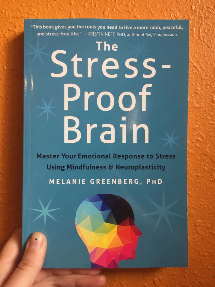 The Stress-Proof Brain: Master Your Emotional Response to Stress Using Mindfulness and Neuroplasticity