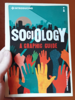 Introducing Sociology: A Graphic Guide