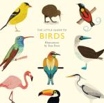 Little Guide to Birds