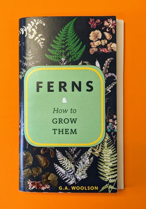 Ferns & How to Grow Them