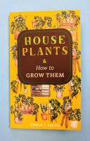 Houseplants &amp; How to Grow Them image