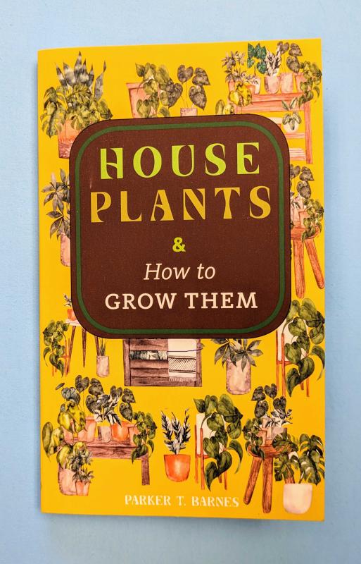 Houseplants & How to Grow Them