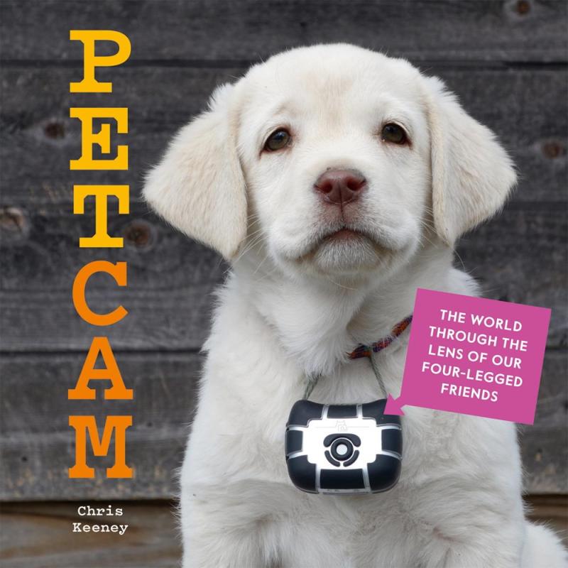 Cover with photo of a small white puppy wearing a camera around its neck