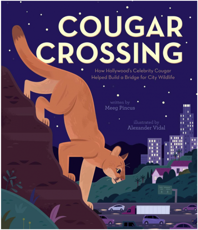 Cougar Crossing: How Hollywood's Celebrity Cougar Helped Build a Bridge for City Wildlife