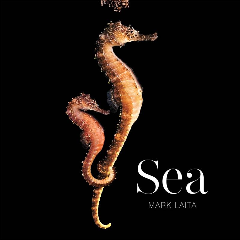 black background with white text and a photo of seahorses