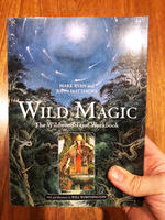 Wild Magic: The Wildwood Tarot Workbook