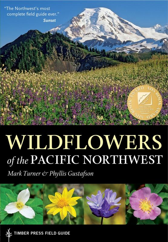 a field of wildflowers, a snow-capped mountain in the background.