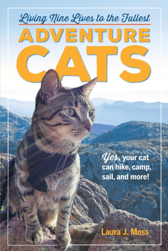 Adventure Cats: Living Nine Lives to the Fullest