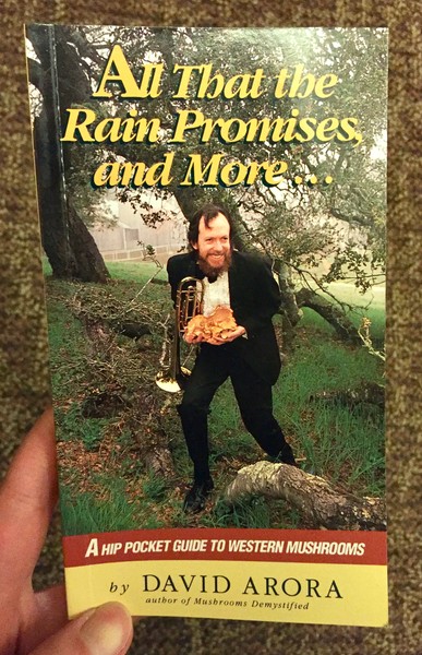 a photo of a mischevious looking man in a suit holding an actual trumpet and a giant trumpet mushroom 