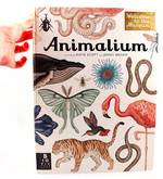 Animalium