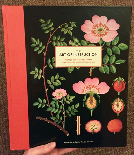 The Art of Instruction: Vintage Educational Charts from the 19th and 20th Centuries