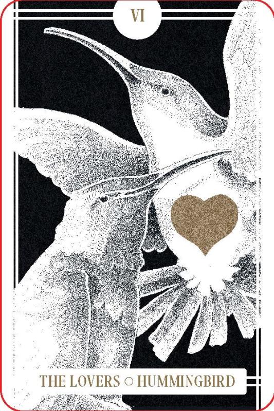 The Avian Tarot image #2