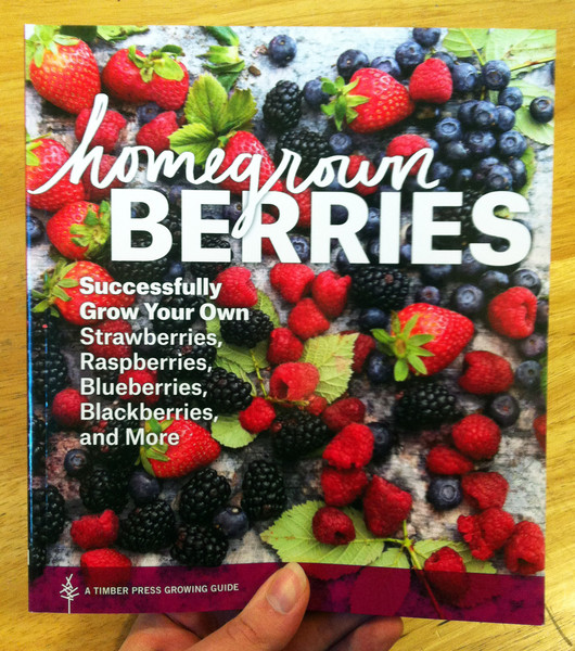 A mix of berries on a rough wood surface. 