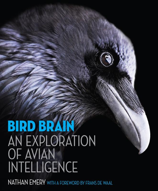 black cover with close up of a crow face with blue and white text