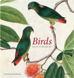 Birds: The Art of Ornithology