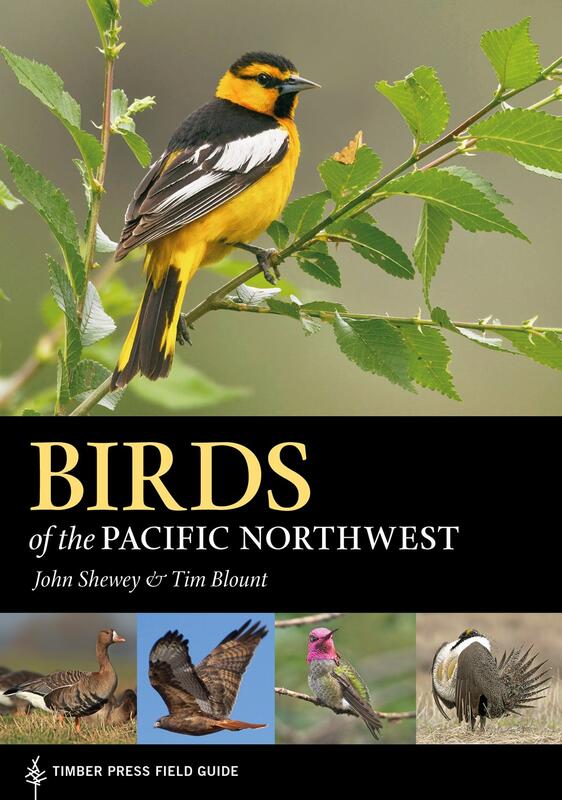 Birds of the Pacific Northwest: A Timber Press Field Guide