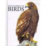 Encyclopedia of Birds