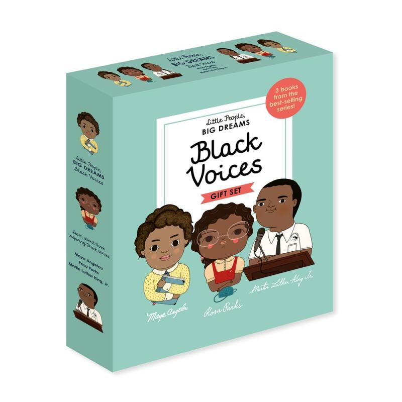 illustrations of Maya Angelou, Rosa Parks, and MLK Jr. on a teal box